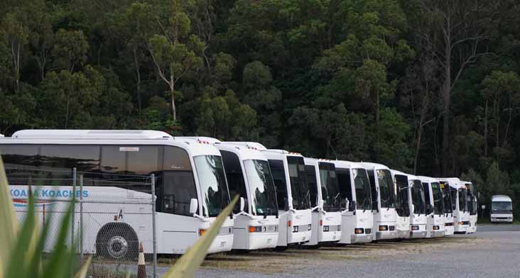 Koala Koaches depot